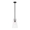 Z-Lite Kira Pendant, 1-Light, 6.5 In.W x 13 In.H, Matte Black/Clear 7508P-ROD-MB - alternate 1